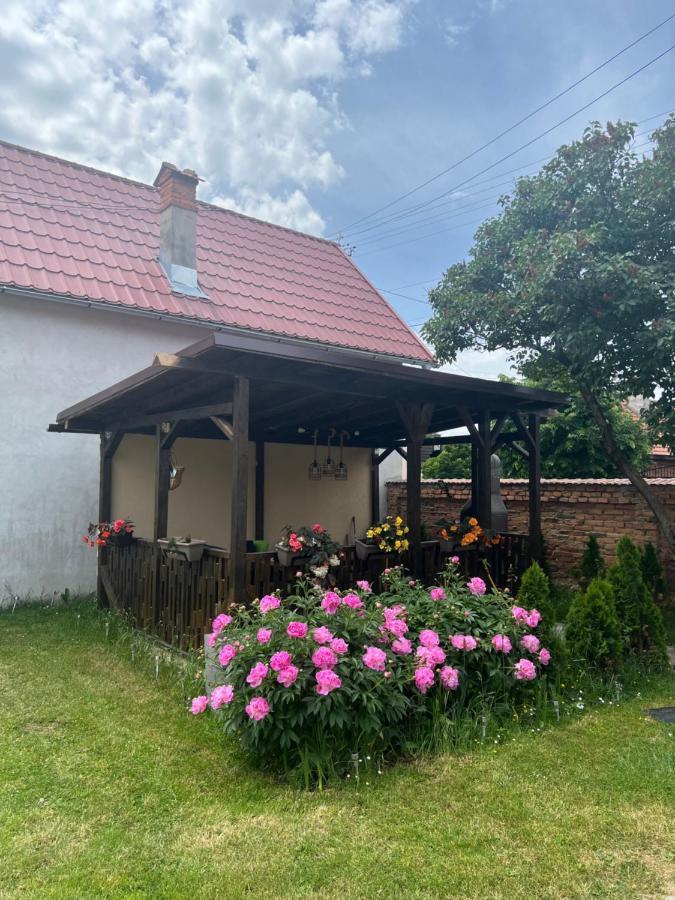 Silver House Rasnov Exterior photo